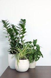 Photo of Many different beautiful house plants on wooden table near white wall
