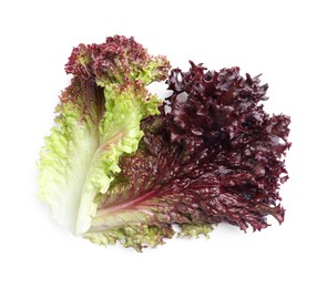 Leaves of fresh red coral lettuce isolated on white, top view