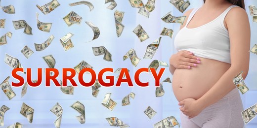Image of Surrogacy concept. Closeup view of young pregnant woman and flying money on light background, banner design
