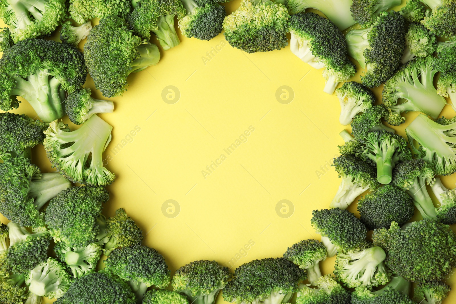 Frame made with fresh green broccoli on color background, flat lay. Space for text Photo of Frame made with fresh green broccoli on color background, flat lay. Space for text