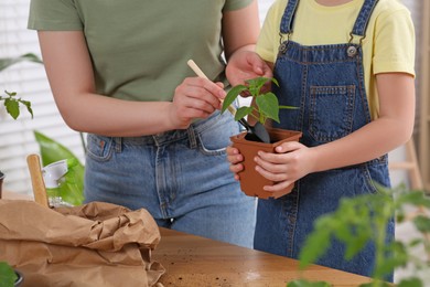 Photo of Mother and daughter planting seedling in pot together at wooden table indoors, closeup