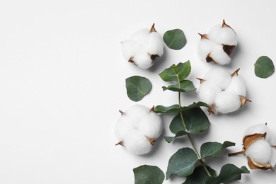 Photo of Fluffy cotton flowers and eucalyptus leaves on white background, flat lay. Space for text