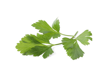 Photo of Aromatic fresh green parsley isolated on white