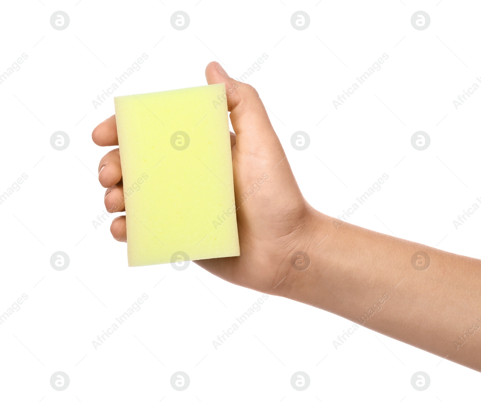 Photo of Woman holding cleaning sponge for dish washing on white background, closeup