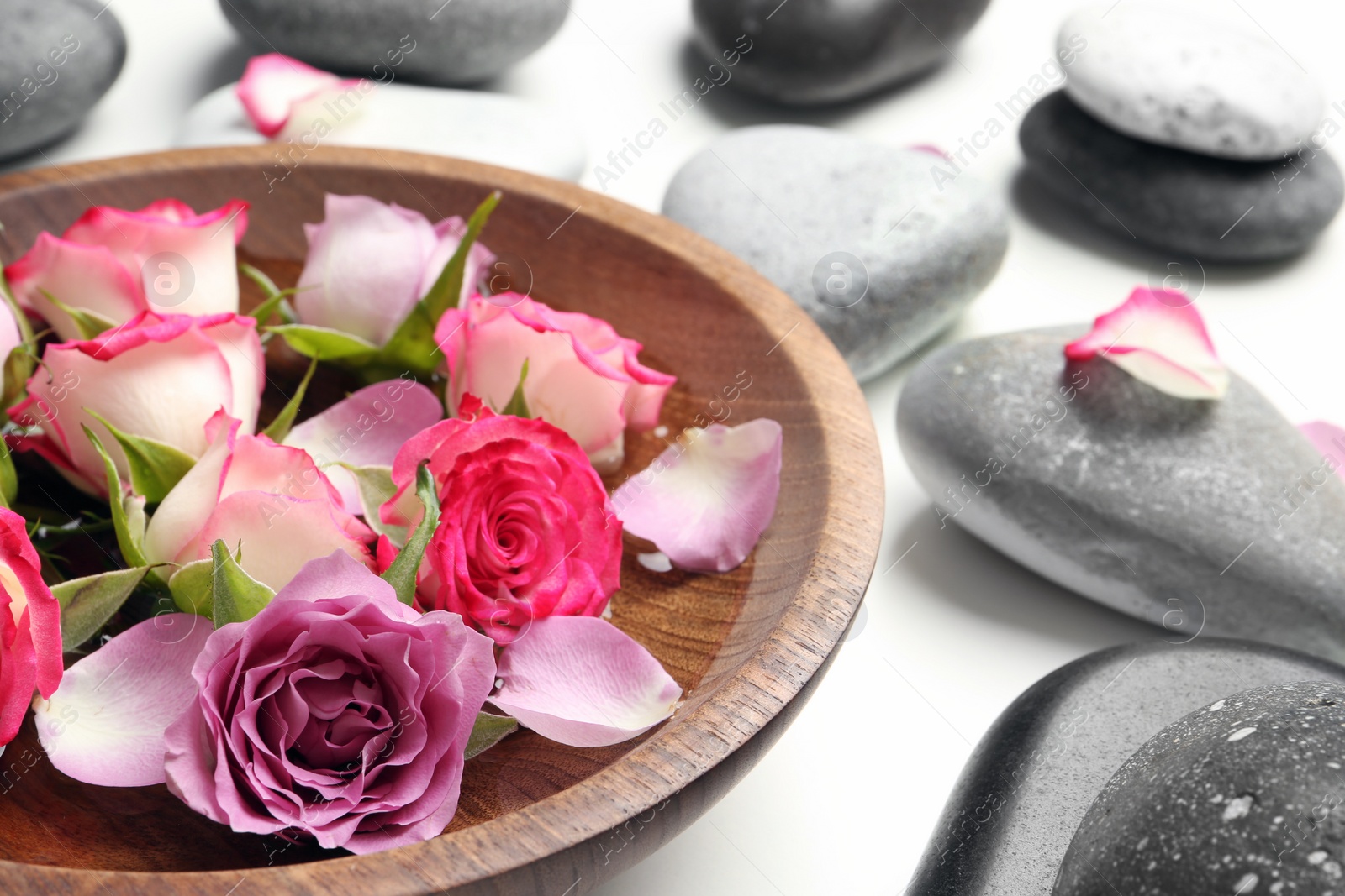 Photo of Plate with roses and spa stones on white background, closeup