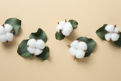 Photo of Cotton flowers and eucalyptus leaves on beige background, flat lay