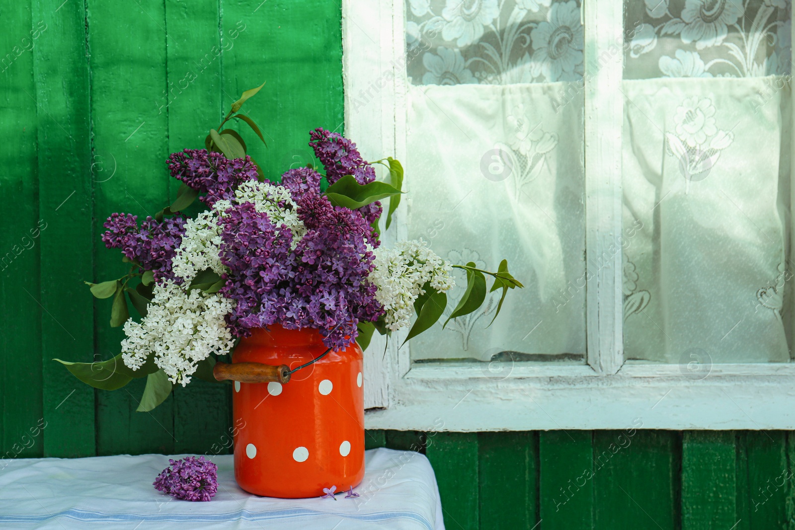 Photo of Beautiful lilac flowers in milk can near house outdoors. Space for text