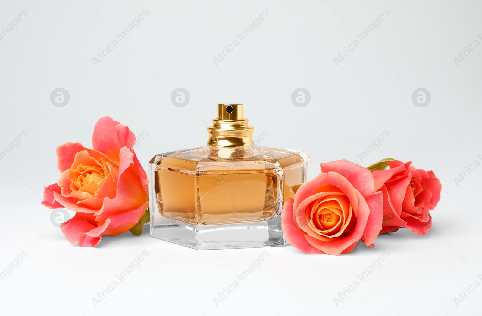 Photo of Transparent bottle of perfume with beautiful roses on white background