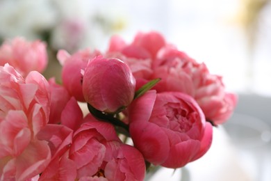 Beautiful peony bouquet on blurred background, closeup