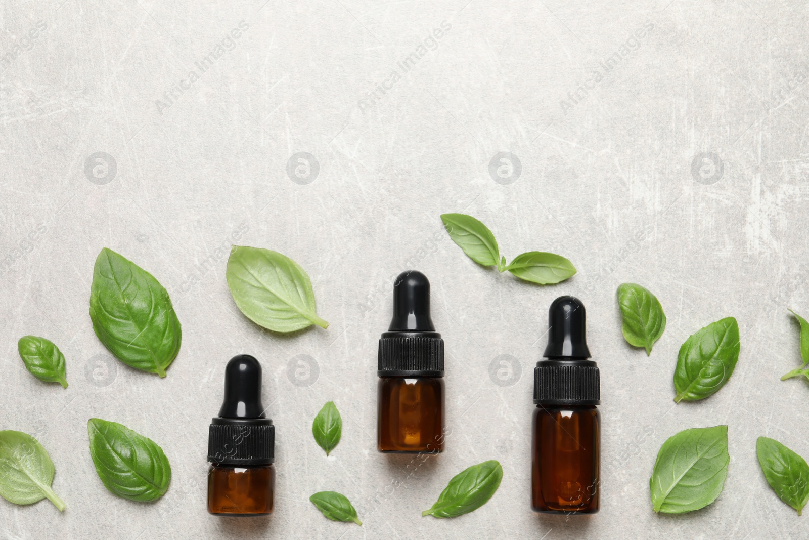 Photo of Bottles of essential basil oil and fresh leaves on light grey table, flat lay. Space for text