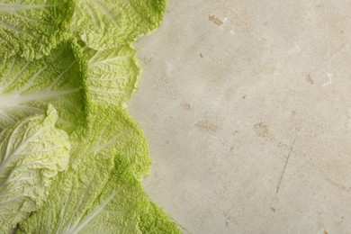 Fresh Chinese cabbage leaves on gray textured table, top view. Space for text