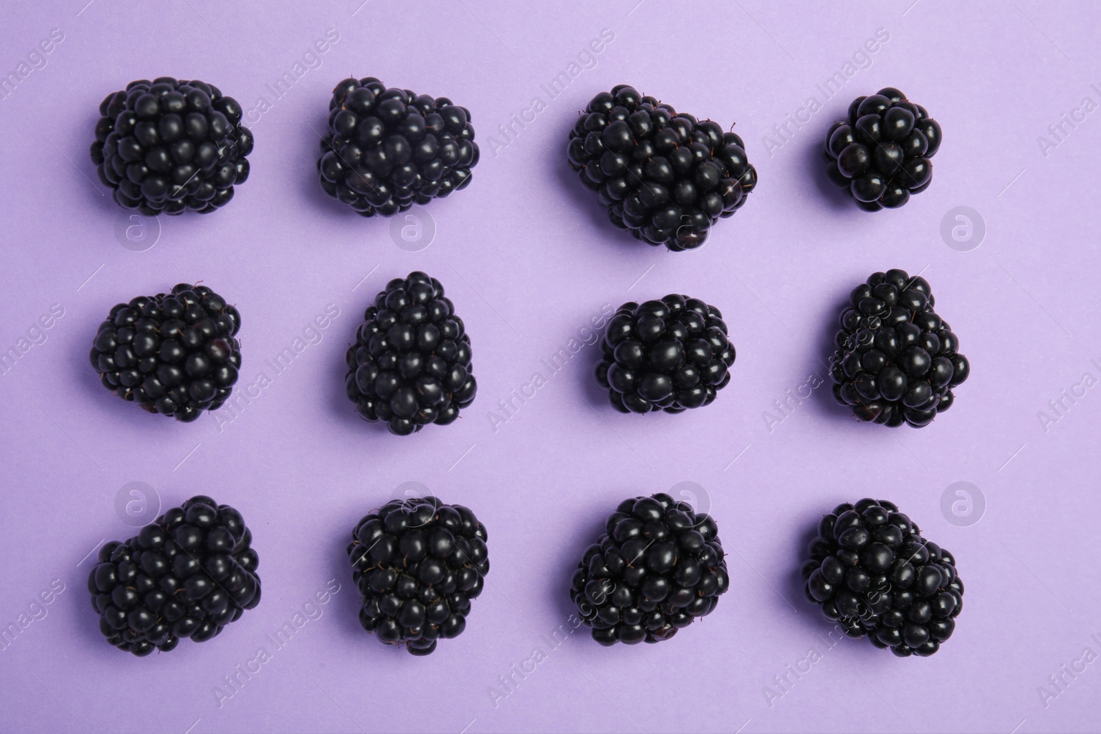 Photo of Flat lay composition with ripe blackberries on color background