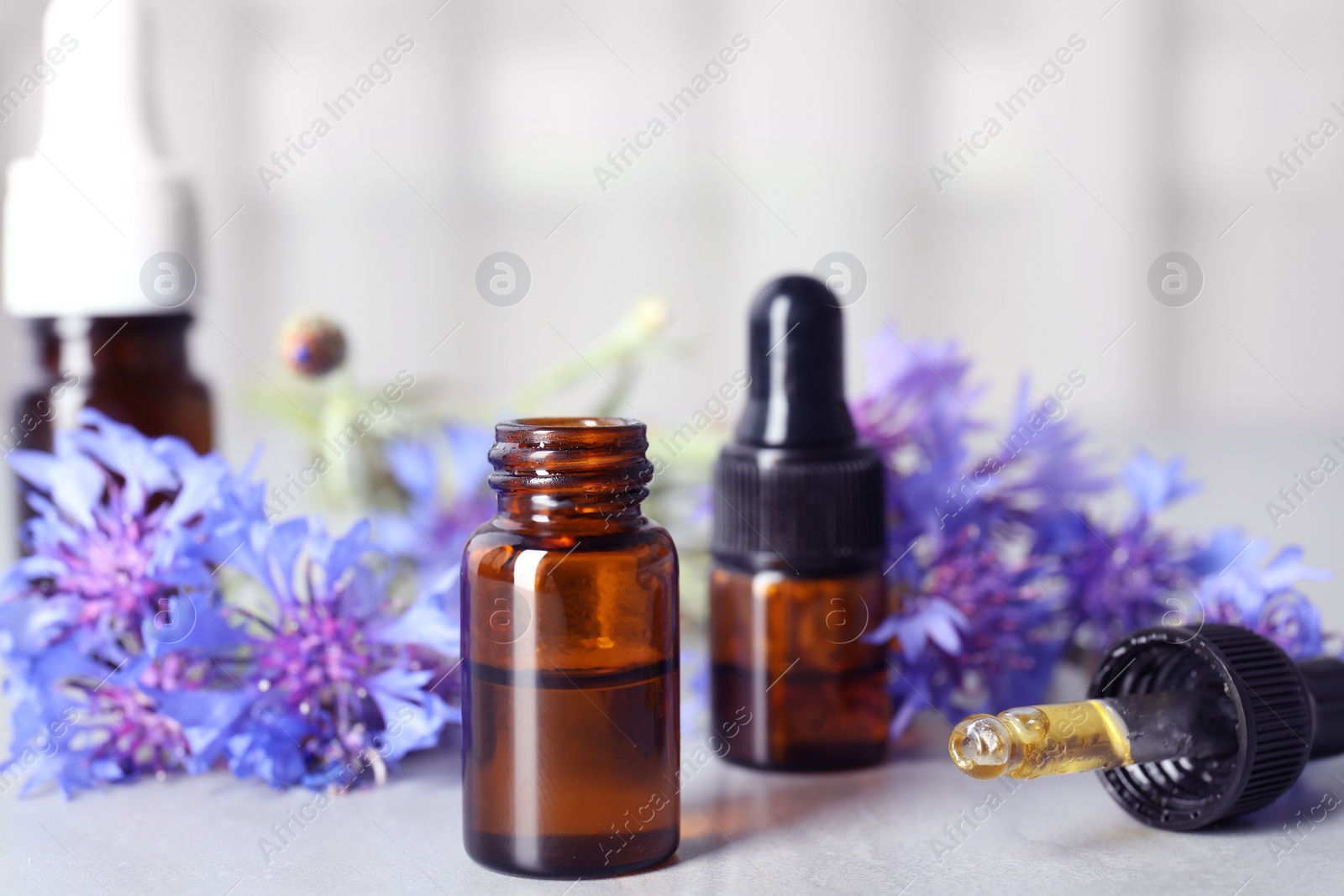 Photo of Composition with essential oil and flowers on table