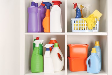 Photo of Different cleaning supplies and tools on shelves