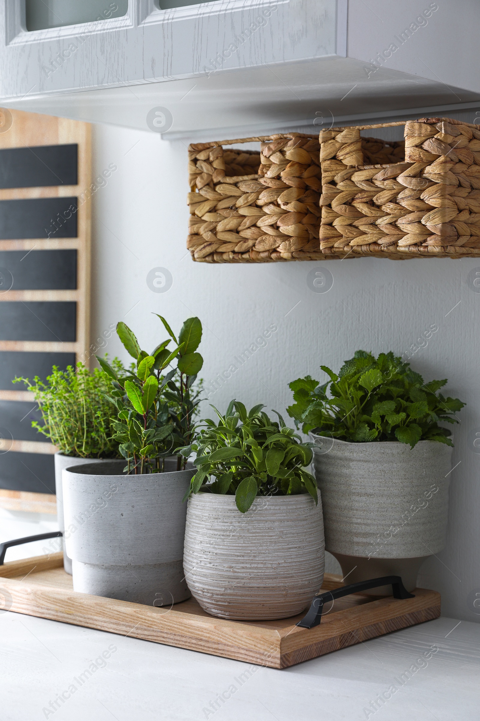 Photo of Different aromatic potted herbs on white table indoors