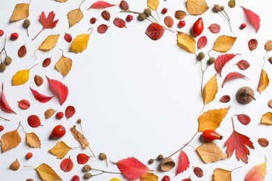 Photo of Flat lay composition with autumn leaves and space for text on white background