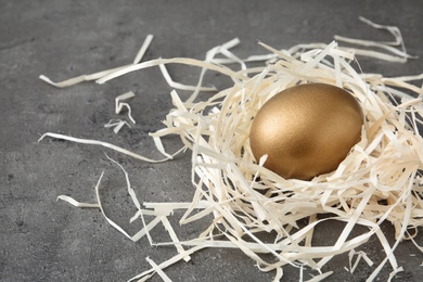 Photo of Golden egg in nest on grey background, space for text