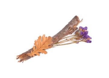 Dry tree twig, flowers and fallen leaf isolated on white, top view