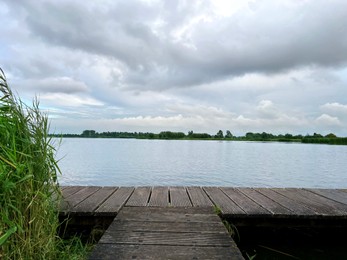 Picturesque view of river reeds and cloudy sky