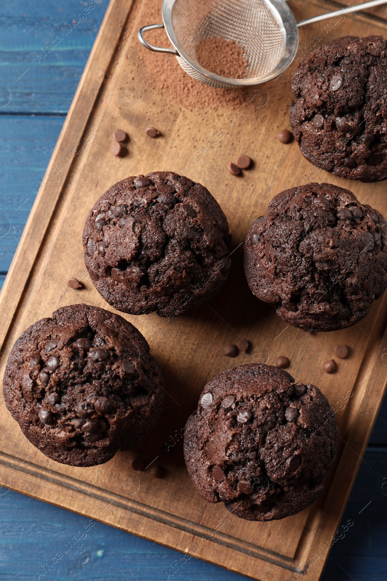 Photo of Delicious chocolate muffins and sieve with cocoa powder on blue wooden table, top view