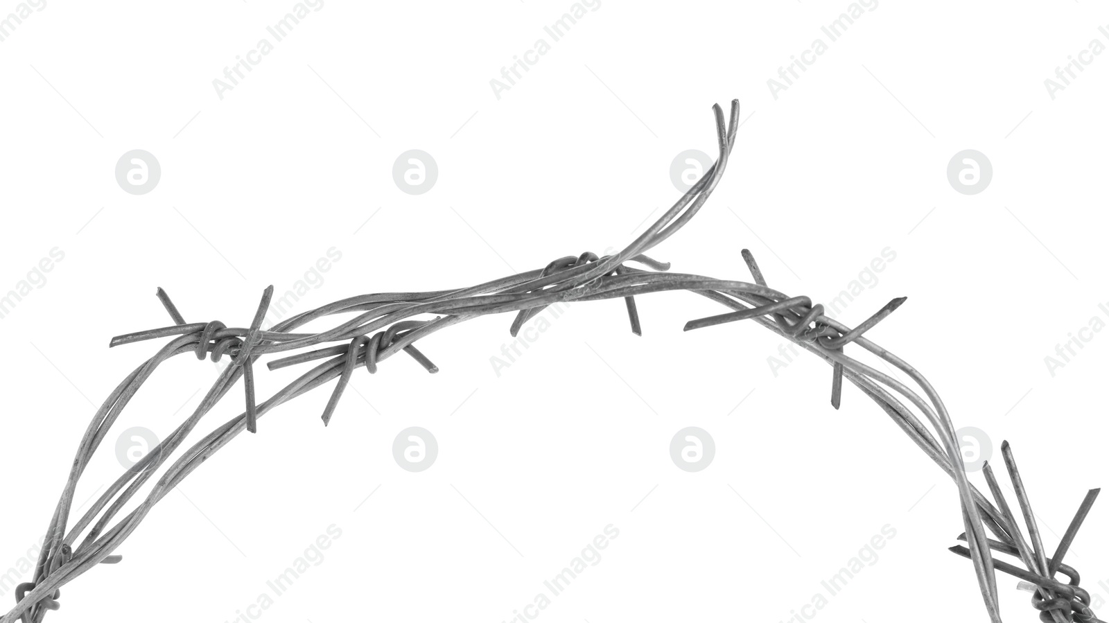 Photo of Shiny metal barbed wire isolated on white