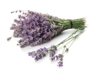 Photo of Beautiful blooming lavender flowers on white background