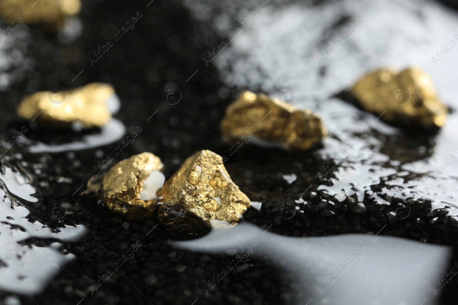 Photo of Shiny gold nuggets on wet stones, closeup