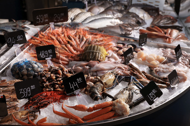 Different types of fresh seafood on ice in fish store