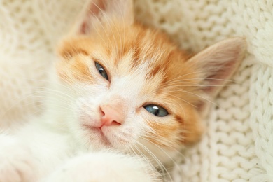 Photo of Cute sleepy little red kitten on white knitted blanket, closeup view