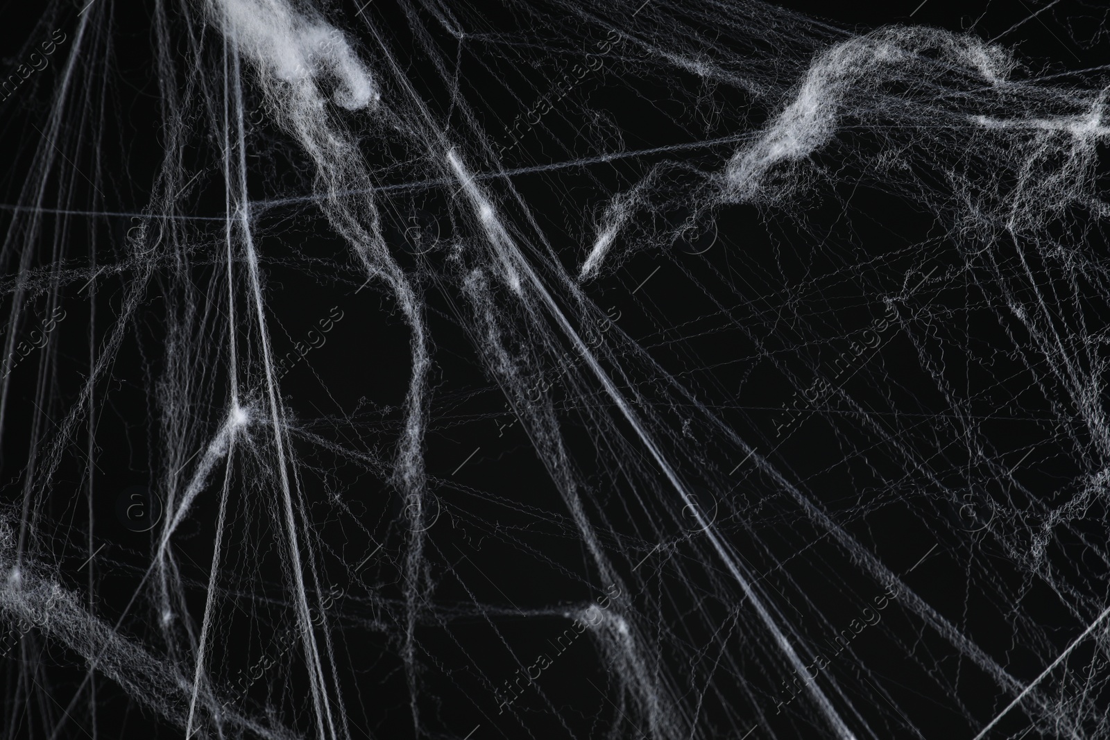 Photo of Creepy white cobweb on black background, closeup