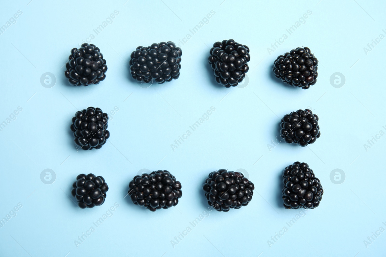 Photo of Flat lay composition with ripe blackberries on color background