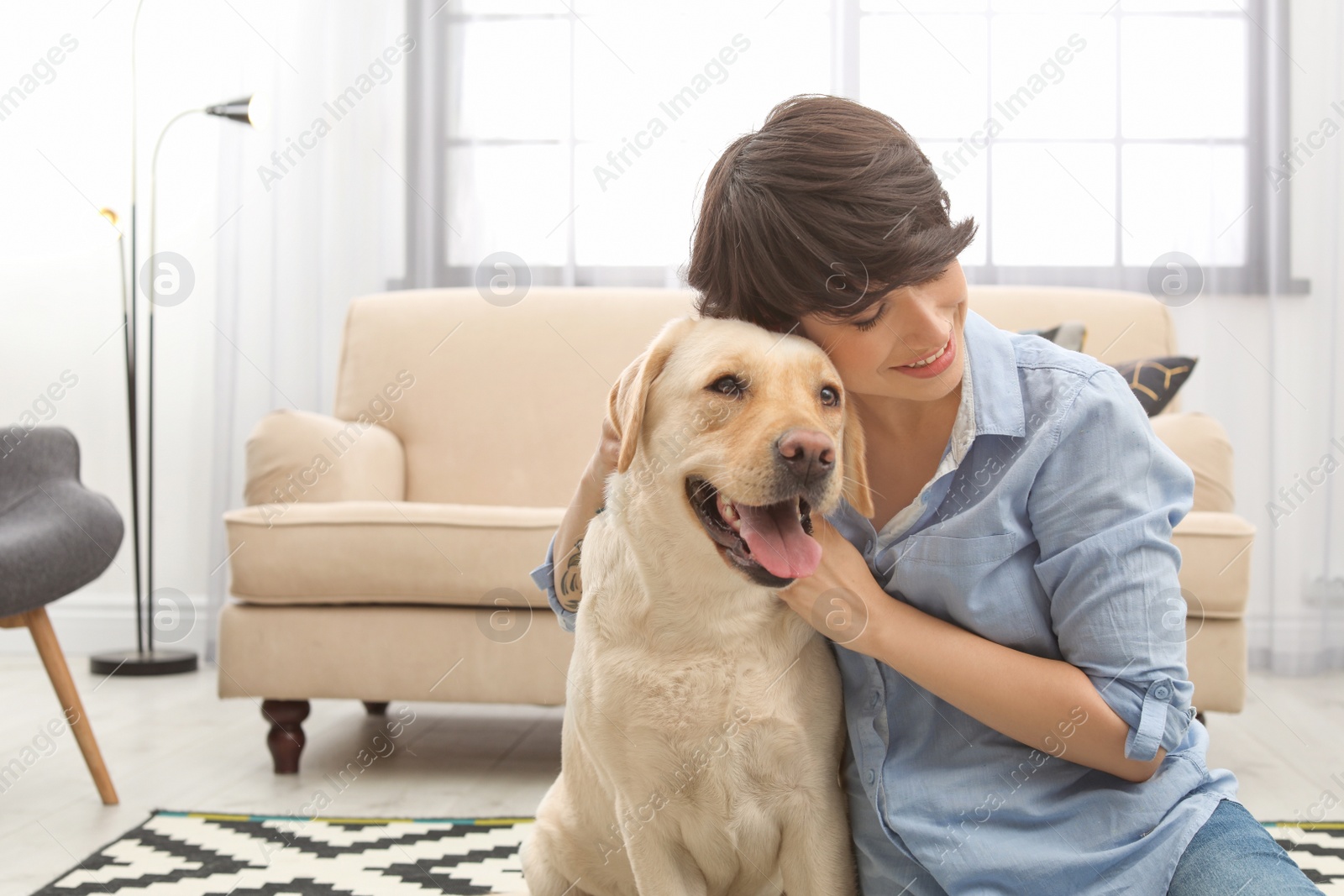 Photo of Adorable yellow labrador retriever with owner at home