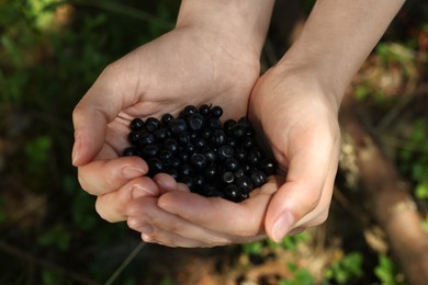 Photo of Woman holding bilberries outdoors, closeup. Seasonal berries