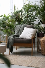 Comfortable armchair and beautiful houseplants in room. Lounge area interior