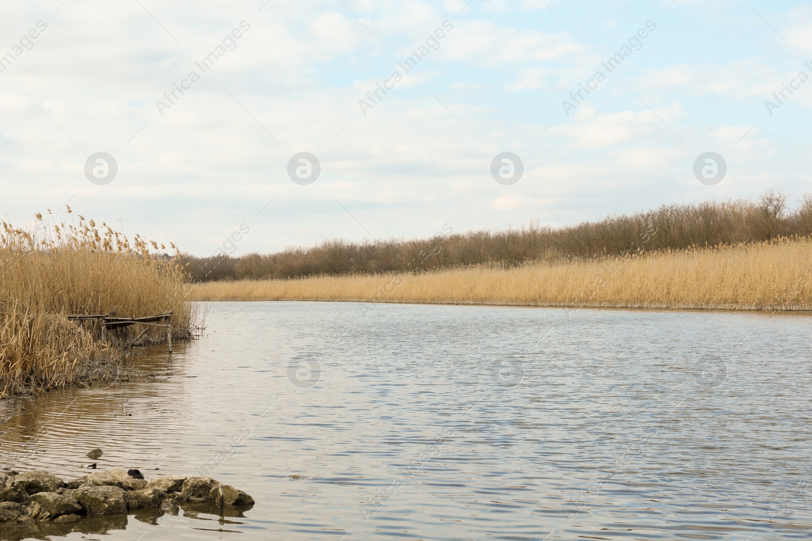 Photo of Picturesque view of river bank in countryside