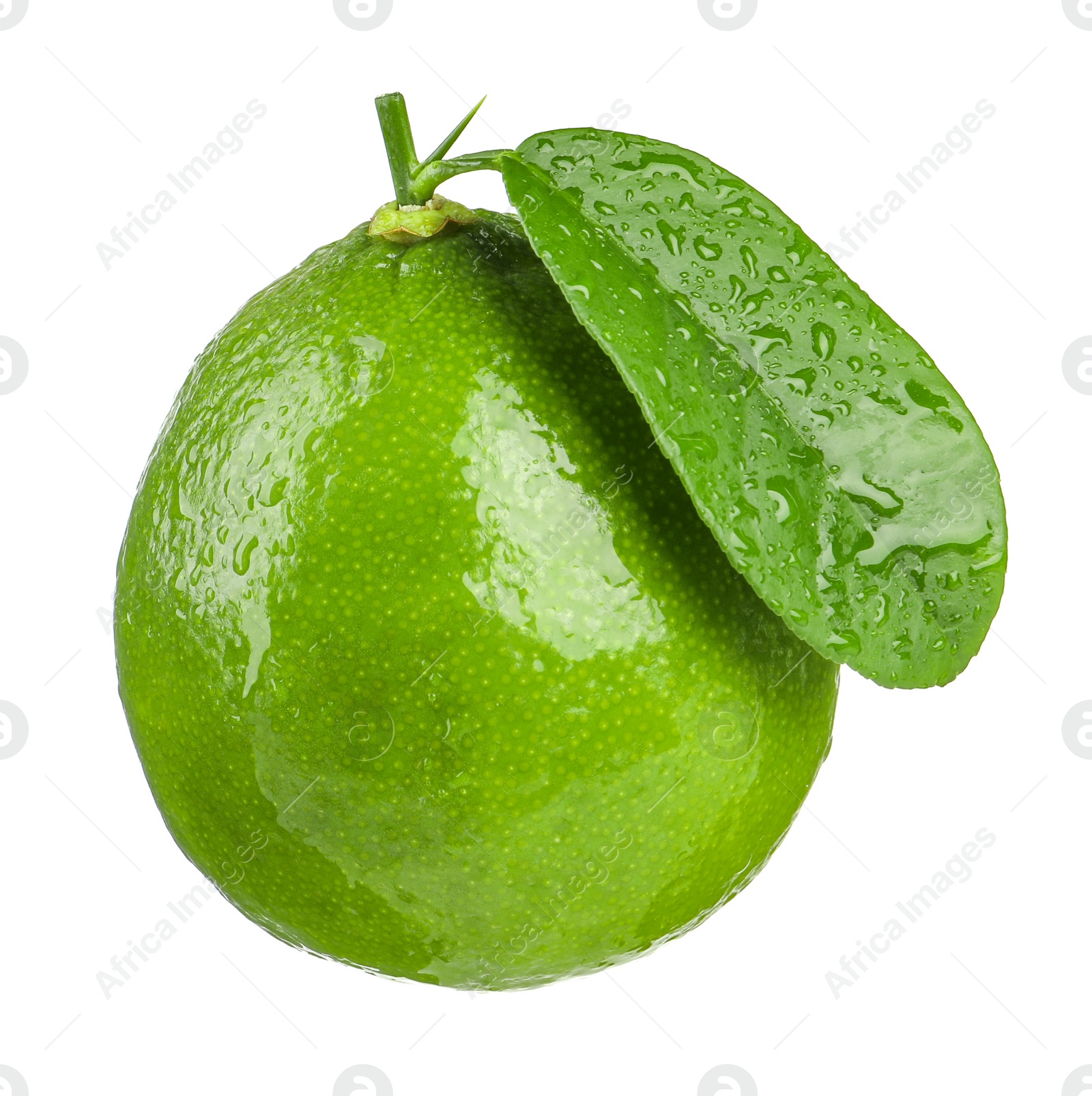 Photo of Fresh green ripe lime with wet leaf isolated on white