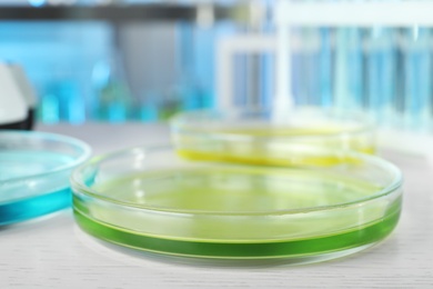 Photo of Petri dish with liquid on white table. Laboratory analysis