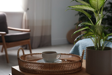 Photo of Fresh coffee and green plant in bedroom. Home decoration