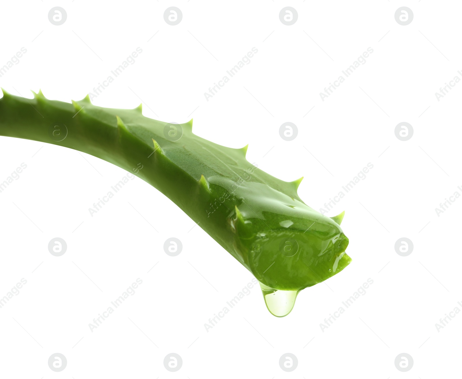 Photo of Aloe vera leaf with dripping juice on white background