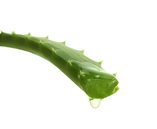 Photo of Aloe vera leaf with dripping juice on white background