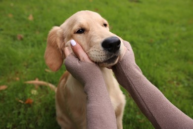 Photo of Woman petting adorable Labrador Retriever puppy on green grass in park, closeup