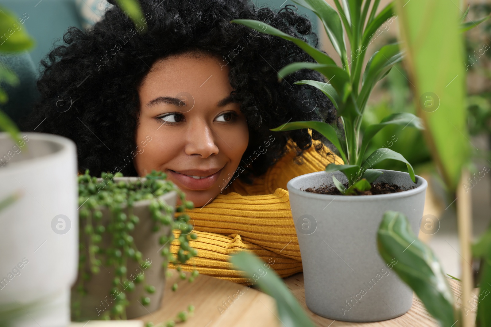 Photo of Relaxing atmosphere. Woman near potted houseplants indoors