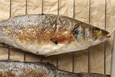 Photo of Baked fish on cooling rack, flat lay