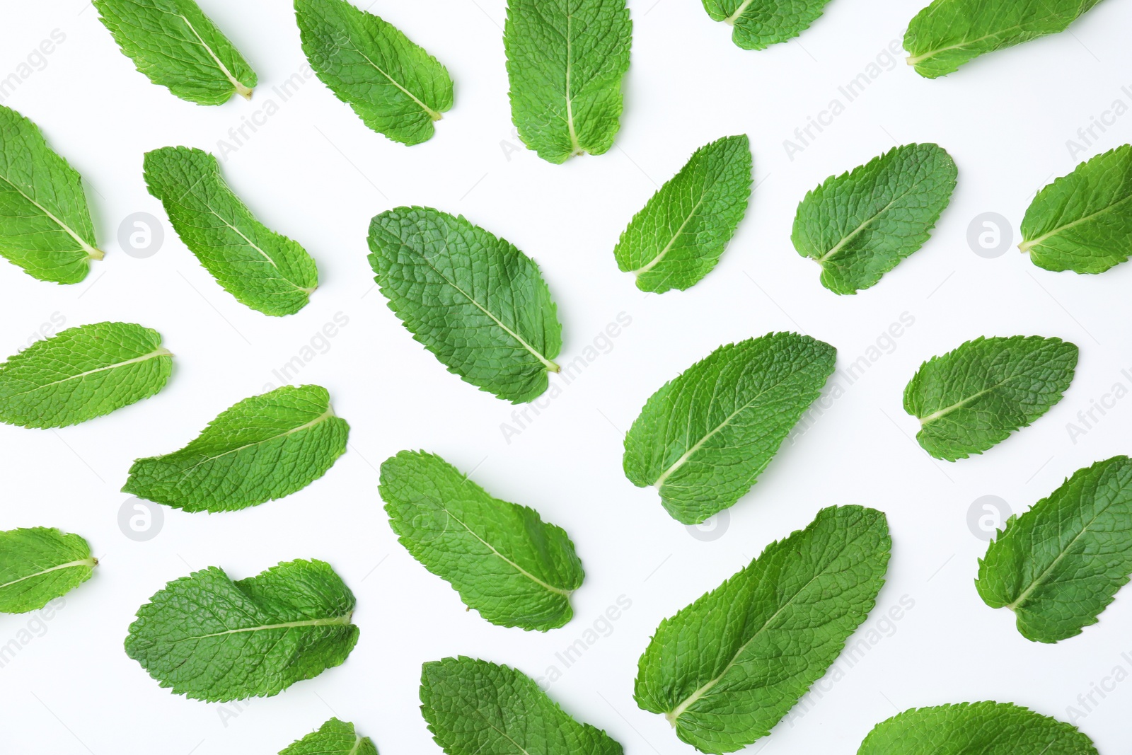 Photo of Flat lay composition with fresh green mint leaves on white background