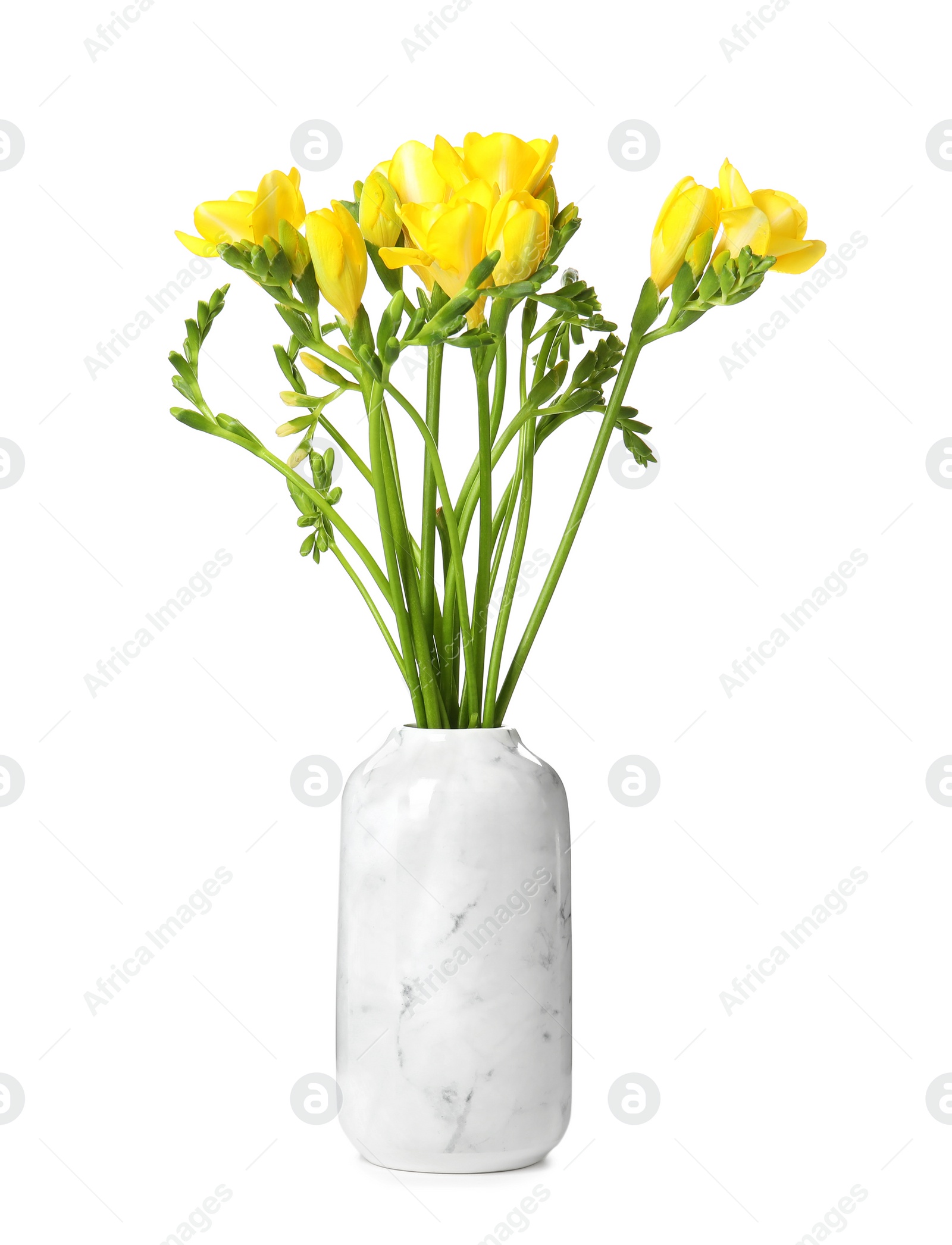 Photo of Bouquet of fresh freesia flowers in vase isolated on white