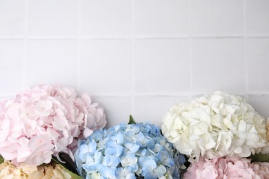 Photo of Beautiful hydrangea flowers on white tiled background, top view. Space for text