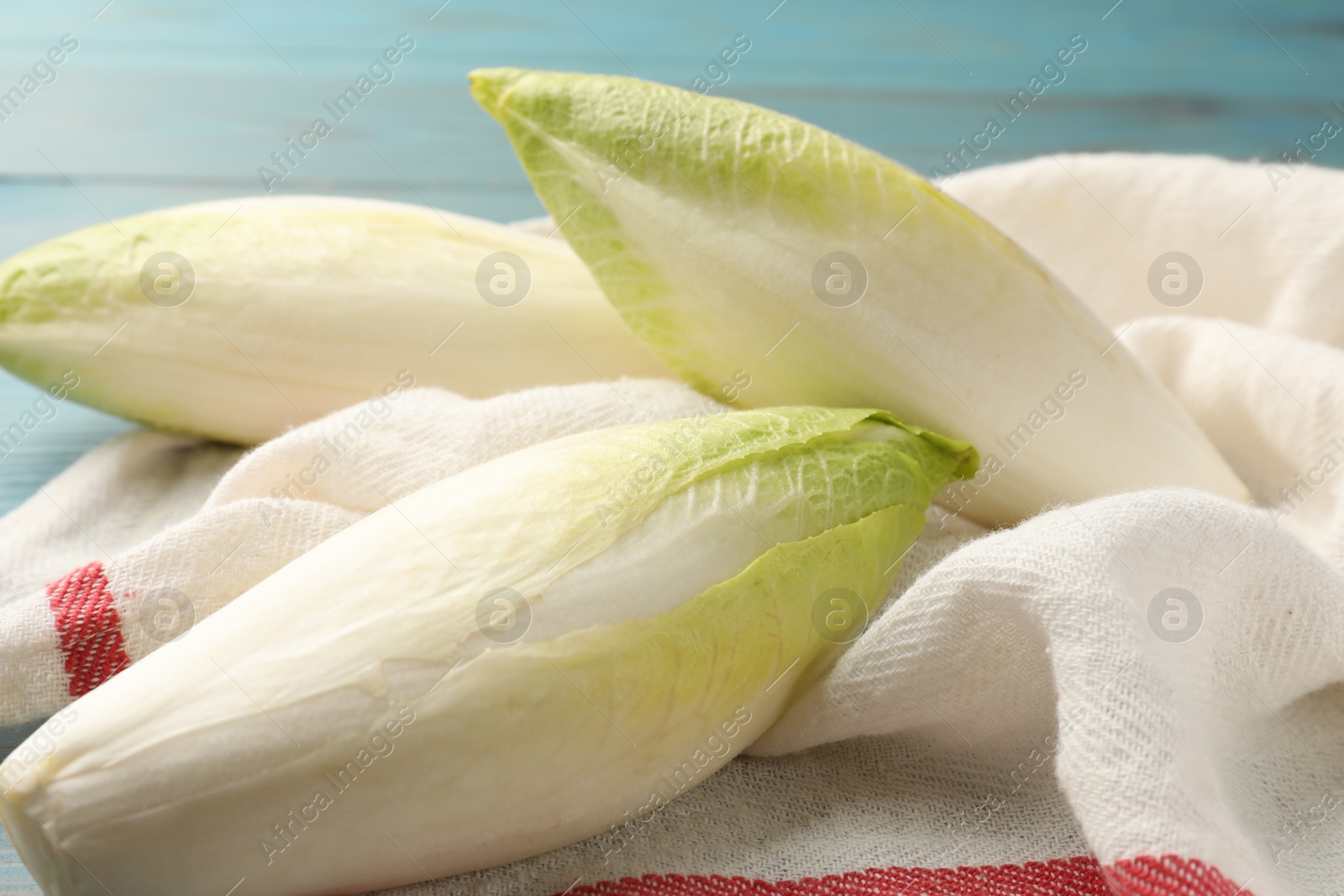 Photo of Fresh raw Belgian endives (chicory) on light blue table, closeup