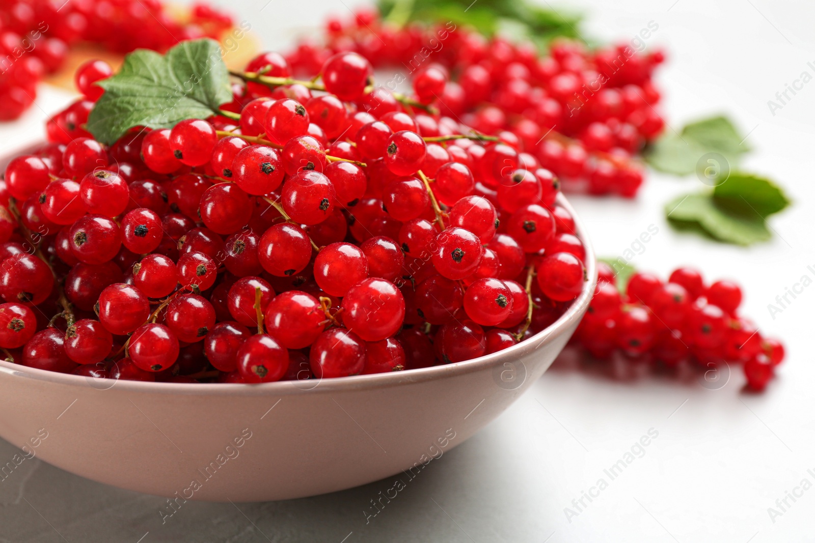 Photo of Delicious red currants in bowl on light table, closeup