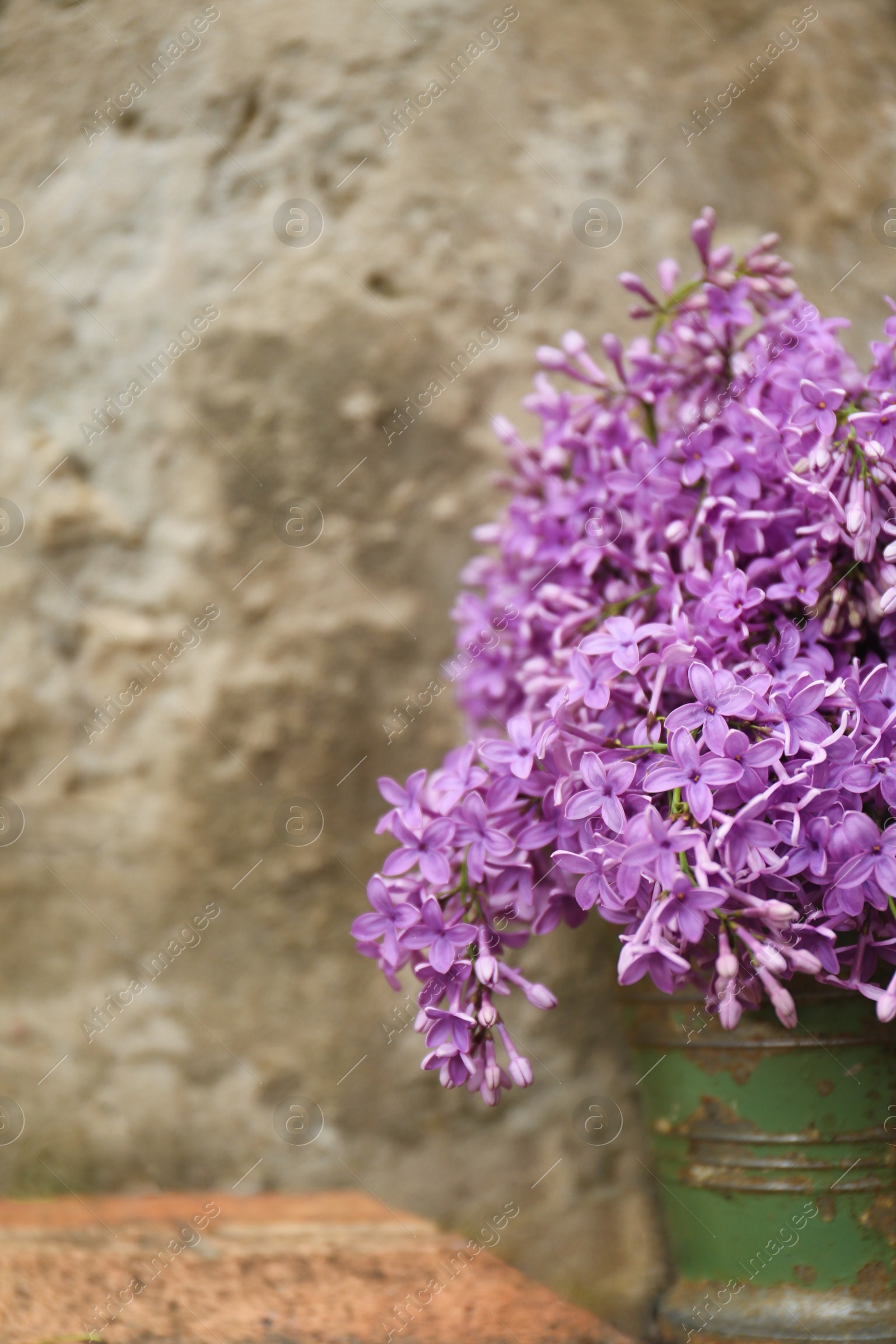 Photo of Beautiful lilac flowers in bucket near stone wall, space for text