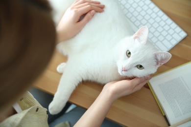 Photo of Adorable white cat lying on keyboard and distracting owner from work, above view